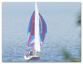 Regata_07.2017 (1)